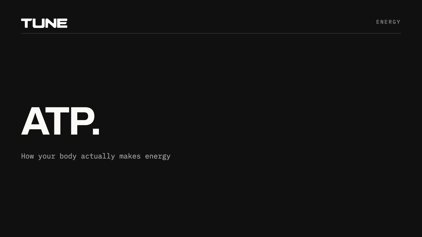 ATP, how your body actually makes energy