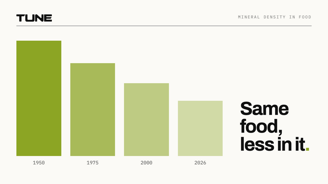 Same food, less in it: the soil depletion data