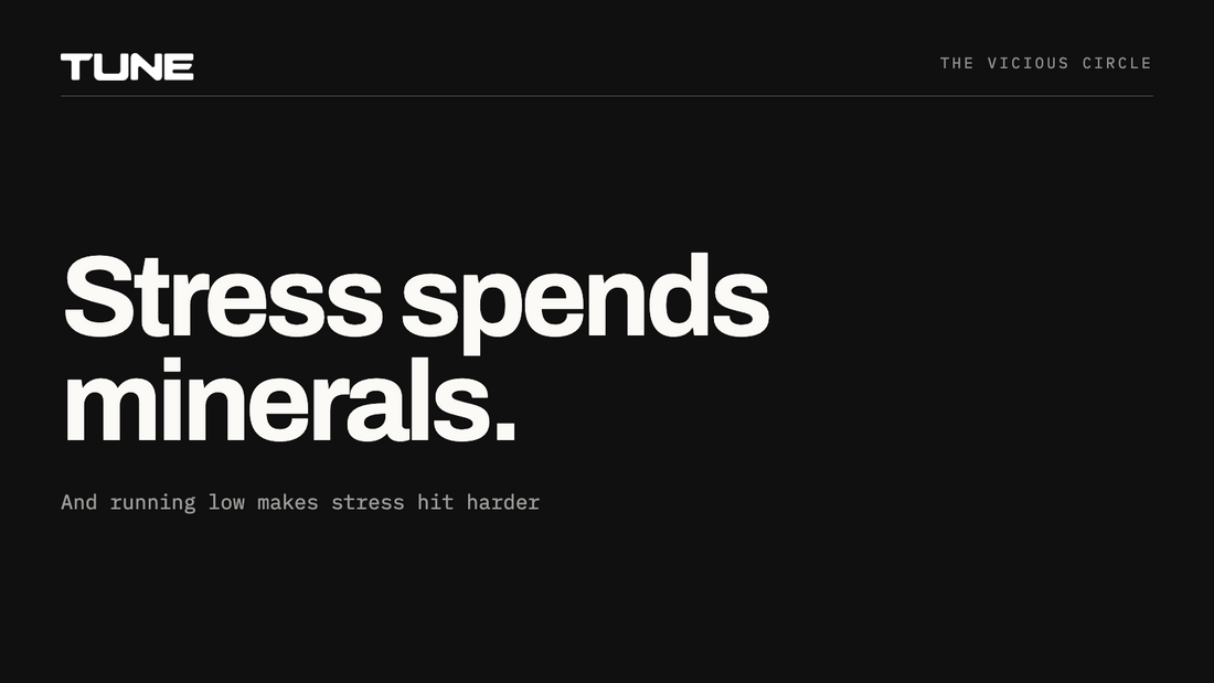 Stress spends minerals, and running low makes stress hit harder